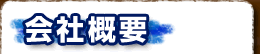 ЊTv