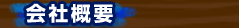 ЊTv